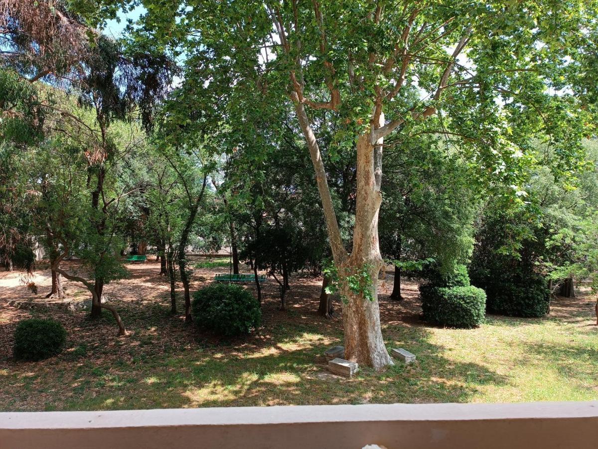 Chez Isa Apartment ตูลง ภายนอก รูปภาพ